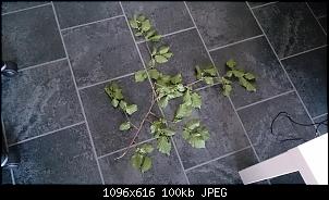 wiesenf�tterung....-dsc_0006.jpg