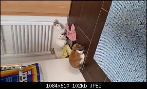 Richtiges Anf�ttern-20140623_172840.jpg