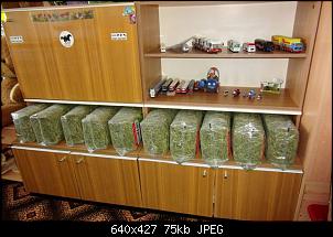 Heub�bbel bei Frischfutter-cimg1304c.jpg