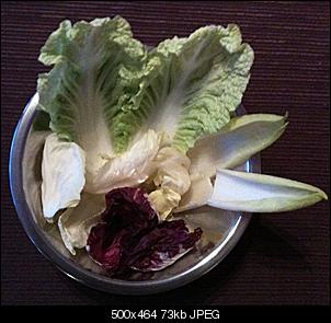 Was f�ttert ihr euren Nienchen heute?-salat.jpg