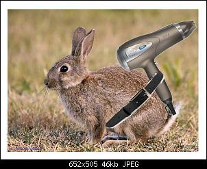 Wie viel am Tag f�ttern???-img-20160904-wa0000.jpg