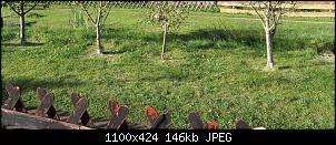 Futterr�ben-fullsizeoutput_4b0.jpg