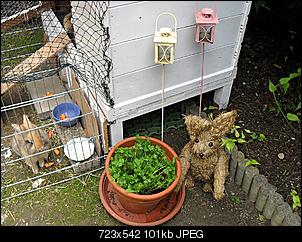 F�tter ich zu viel?-sdc12092.jpg