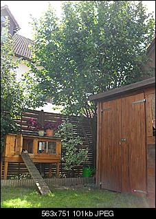 F�tter ich zu viel?-sdc12094.jpg