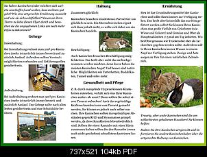 Flyer-zur Information �ber artgerechte Kaninchenhaltung-flyer-kaninchen-teil-2.jpg