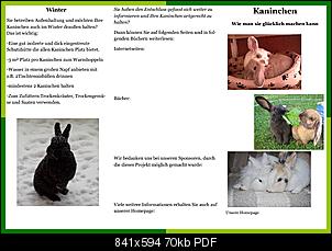 Flyer-zur Information �ber artgerechte Kaninchenhaltung-flyer-kaninchen-2011.jpg
