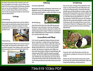 Flyer-zur Information �ber artgerechte Kaninchenhaltung-flyer-kaninchen-teil-2.jpg