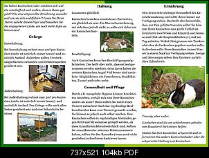 Flyer-zur Information �ber artgerechte Kaninchenhaltung-flyer-kaninchen-teil-2.jpg