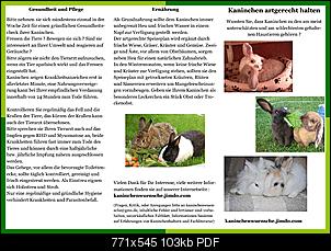 Flyer-zur Information �ber artgerechte Kaninchenhaltung-flyer-kaninchen-2011.jpg