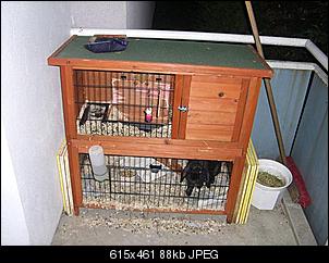 2. Kaninchen anschaffen???-k%E4fig.jpg
