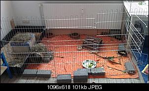 suche dringend HILFE-imag0008.jpg