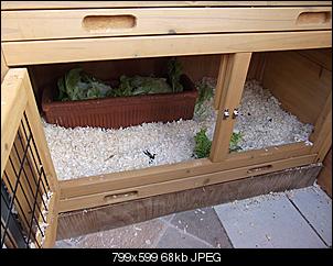 Jetzt beschmutzen sie ihren Futterplatz-dscf6330.jpg