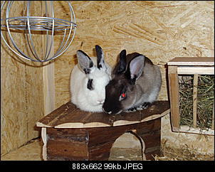 zu gro�e H�schenliebe-dsc02703.jpg