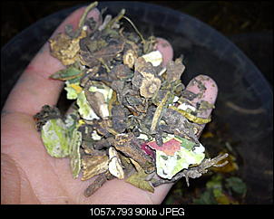 Ideen f�r Kaninchen im Winter drau�en-dsc02500.jpg
