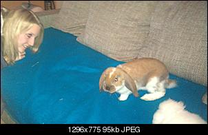 Neue Partner f�r Kiwhy-imag0070.jpg