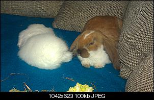 Neue Partner f�r Kiwhy-imag0069.jpg