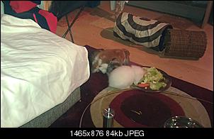Neue Partner f�r Kiwhy-imag0075.jpg