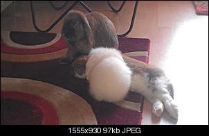 Neue Partner f�r Kiwhy-imag0084.jpg