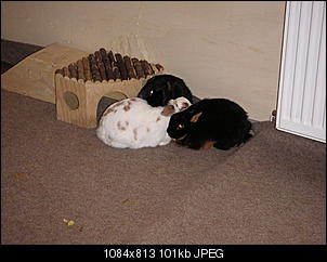 Soll ich helfen? Was danach?-pict0983.jpg
