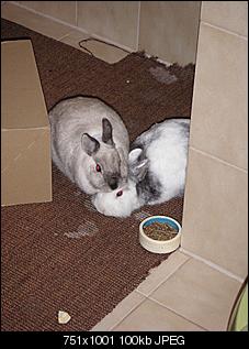 Haltung bei -20�-pict0979.jpg