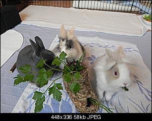 VG Dreiergruppe-dscn4184.jpg
