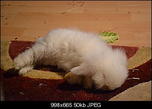 Die Pubert�t ist da!-dsc_0014.jpg