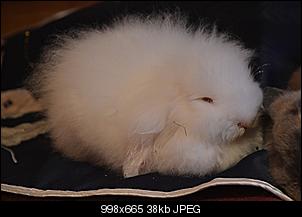 Die Pubert�t ist da!-dsc_0091.jpg