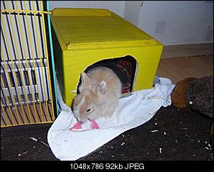 Wann Nest entfernen?-baby-2.jpg