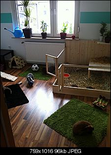 Aus Zwei Mach Drei???-img_2302.jpg