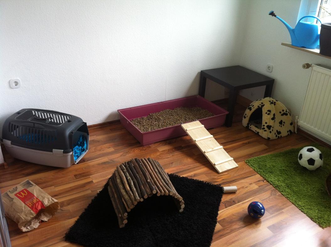 Aus Zwei Mach Drei Kaninchen