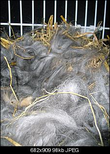 Nest?!-2012-189.jpg