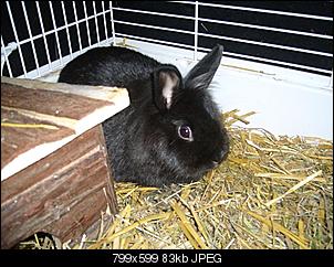 Nestabriss?!-2012-192.jpg