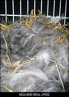 Nestabriss?!-2012-189.jpg