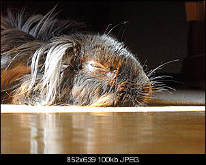 Moeru-18.04.2011.jpg