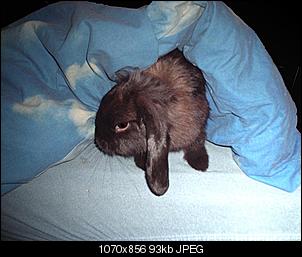 Moeru-26.09.2006_1.jpg