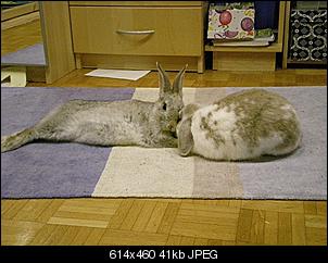 Neue Partnerin f�r Luis-carisma3.jpg