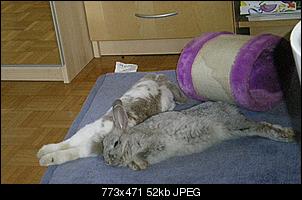 Neue Partnerin f�r Luis-carisma5.jpg