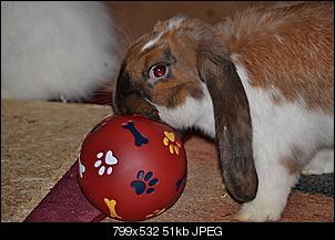 Was tun?-dsc_0319.jpg