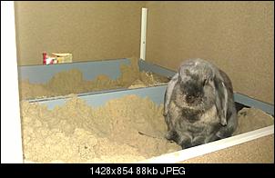 Was tun?-imag0352.jpg