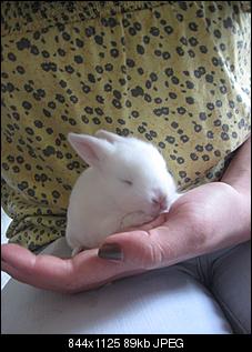 Babys !!-babys-003.jpg