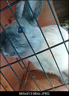 Was ist er ?-dsc05936.jpg