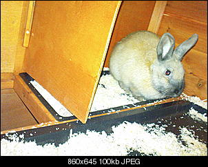 Was ist er ?-dsc05902.jpg