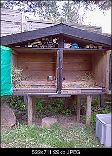Trockenfutter-hasis11.04.10-3-.jpg