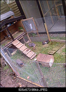 Trockenfutter-14.04.10-2-.jpg