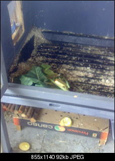 Stallboden auf einmal zu kalt?-bild009.jpg