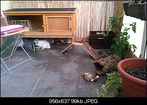 urin auf steinplatten-imag0047.jpg