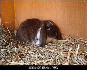 Wie hei�en unsere Farbschl�ge?-dsc05891.jpg