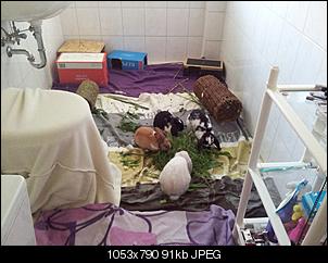 Klicke auf die Grafik f�r eine gr��ere Ansicht

Name:	20120630_173838.jpg
Hits:	436
Gr��e:	90,7 KB
ID:	16044
