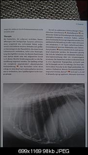 Babynin zu �lteren Kaninchen?-imag0626.jpg