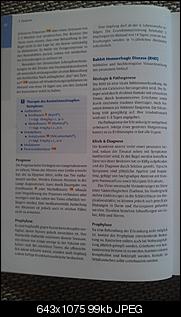 Babynin zu �lteren Kaninchen?-imag0628.jpg